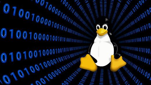 Termtosvg – Terminal Oturumlarınızı Linux’ta SVG Animasyonları Olarak Kaydedin