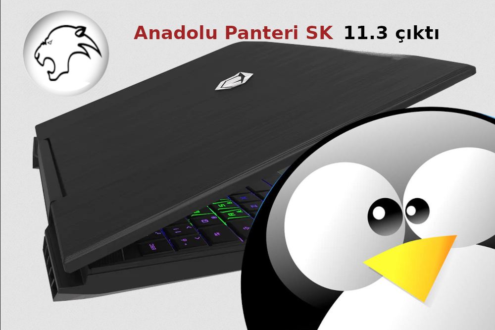 Anadolu Panteri SK 11.3 Güncel Sürüm Çıktı